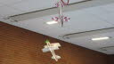 Hallenfliegen_13