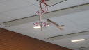 Hallenfliegen_15