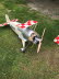 IMG-20190501-WA0007
