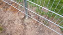 IMG-20200403-WA0014