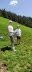 IMG-20241007-WA0005