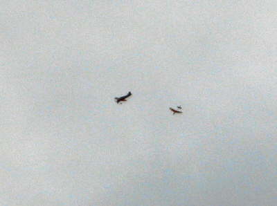 28.05.2007 Seglerschlepp mit Knuffel