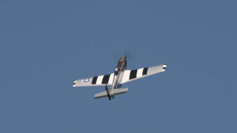 IMG_6771