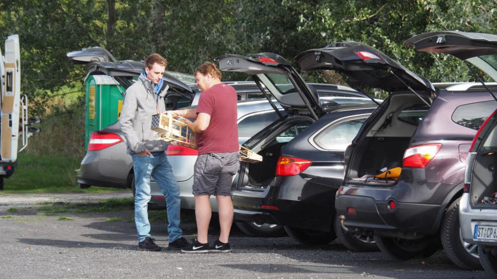 MFSC_20190915_012